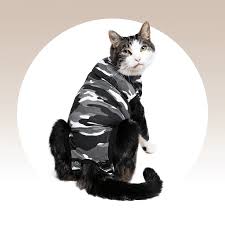 Cat coat genetics determine the coloration, pattern, length, and texture of feline fur. Recovery Suit Cat Suitical