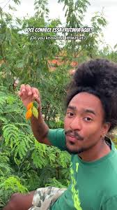 Vietnamese Bitter Melon Soup Recipe You Must Try