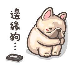 法鬥皮古 豬朋狗友又來了 第6彈 en 2021 bonito