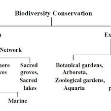 The linetype is correctly distinguishing between exsitu and insitu predictions, but i want the line type to be reversed. The In Situ And Ex Situ Approaches Of Conserving Biodiversity In India Download Scientific Diagram