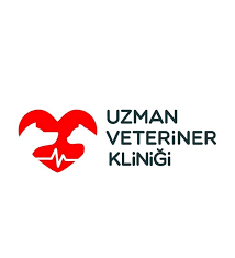 Bu Aralar Dil Disarida Hizli Nefes Uzman Veteriner Klinigi