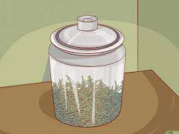 Metti i rametti in acqua, si conservano indefinitamente, anzi dopo un po' fanno radici. 4 Modi Per Conservare Il Rosmarino Fresco Wikihow