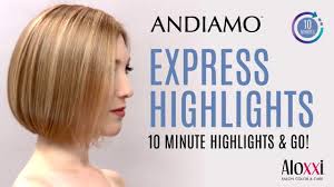 Express Highlights With Aloxxis Andiamo Express Permanent Colour