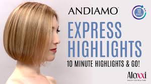Express Highlights With Aloxxis Andiamo Express Permanent Colour