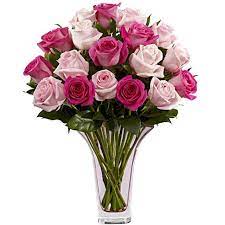 We did not find results for: Pretty In Pink Rose Bouquet At Send Flowers