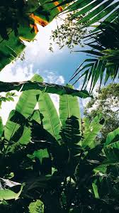 The people who live here and in lower pisang are of tibetan origin, migrating many centuries ago. Pin Oleh April Joy Rocreo Di Places Fotografi Alam Foto Alam Pemandangan