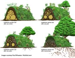 Excessive mulch mounded around the base of a tree can cause decay of the vital tissue at the root collar. Hugelkultur Gardening Master Gardener Society Of Oakland County