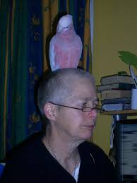 Probably my favourite bird spot, no matter how many!!