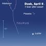 Profile Picture of This Week's Sky at a Glance, April 5 – 14on Google