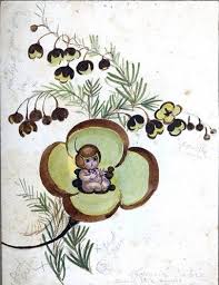 Illustrations May Gibbs 39 Nutcote Baby Artwork Illustration Australian Art