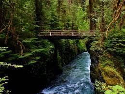 Enchanted Valley Olympic National Park Map The Enchanted Valley Of The Olympics