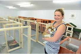 Check spelling or type a new query. Small Pet Hotel Near Me Off 56 Www Usushimd Com
