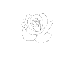 Maybe you would like to learn more about one of these? Simple Rose Tattoo Style Flower By Foxandcrow Redbubble Rose Drawing Tattoo Small Rose Tattoo Tattoo Outline Drawing
