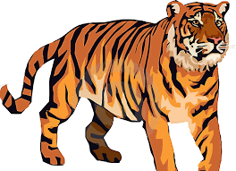 You can use all these tiger images for free. Tiger Clipart Png Download Full Size Clipart 5456986 Pinclipart
