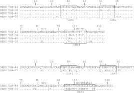 Alternate names for igg antibody (97924) alexa fluor® 405. Structural Basis For Potent Neutralization Of Betacoronaviruses By Single Domain Camelid Antibodies Sciencedirect