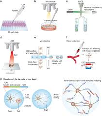 Animal cell technology basic & applied aspects. Single Cell Rna Sequencing Technologies And Bioinformatics Pipelines Experimental Molecular Medicine