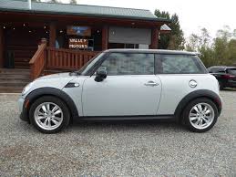 Image result for Pure Silver 2010 Mini