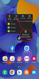 Note removing an icon does not delete the app, it just removes the icon from a home screen. How To Lock Unlock Samsung Home Screen Layout Android Pie 10
