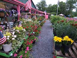 Hewitt garden & design center, franklin, tn. Hewitt S Guilderland 1969 Western Ave Albany Ny Nurseries Mapquest