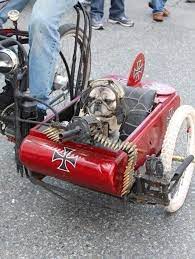 Daily Picdump 650 Sidecar Custom Fahrrad Hunde