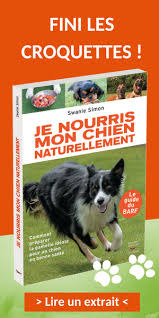 Aliments A Ne Pas Donner Aux Animaux Chiens Chats Lanutrition Fr Chien Les Croquettes Aliment Industriel