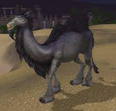 It also used to be a place where the elderly, the handicapped and even i think of all the mmos i have played, ff xiv was the closest to capturing that feeling of human interaction with fun things. Camel Npc World Of Warcraft