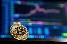 Ideas In The Wild How Samantha Radocchia Is Helping People Prepare For A Decentralized Future Bitcoin Price Buy Bitcoin Blockchain