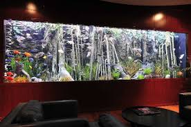Freshwater Aquascaping Fish Gallery Inc Aquarium Freshwater Aquarium Saltwater Aquarium Fish