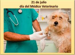Check spelling or type a new query. Feliz Dia A Todos Los Medicos Veterinarios
