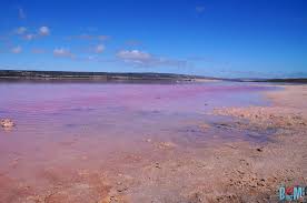 Der nürburgring, mit seinen tückischen kurven, starken neigungen und. Pink Lake Auf Der Jagd Nach Rosa Seen In Australien Blog Auf Meer