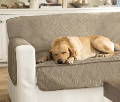 Grip Tight Dog Sofa Cover Furniture Protector In 2020 Furniture Protectors Dog Sofa Cover Couch Protector