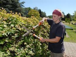 Herzlich willkommen bei garten und landschaftsbau schlüwe in kettenkamp. Berufenet Berufsinformationen Einfach Finden