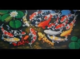 Ikan ini merupakan hasil persilangan dari beberapa ikan mas (cyprinus carpio) yang membuat warna. 081380802767 Jual Ikan Koi Murah Bagus Harga Terjangkau Berkualitas Di Jakarta Bibit Ikan Koi Youtube