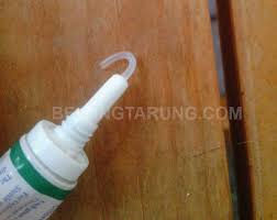 Ubat sakit mata kucing, ubat mata kucing persian, ubat untuk sakit mata kucing, sirih merah ubat mata rabun, ubat mata berpasir akibat welding kenapa mata kucing tiba tiba ada kelopak putih antara mata via www.nurfuzie.com. Kloraxin Ubat Sakit Mata Untuk Kucing Yang Mujarab Some Bullet For Your Head
