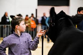 Theanswerhub is a top destination for finding answers online. Supporters Comanche County Saddle Sirloin Club