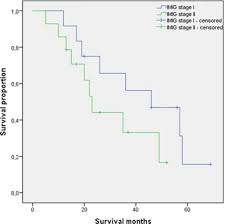 Treatment for mesothelioma at stage 4. Is Less Also Better A Single Institution Experience On Treatment Of Early Stage Malignant Pleural Mesothelioma European Journal Of Surgical Oncology