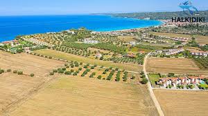 Maybe you would like to learn more about one of these? Agrotemaxio Pros Pwlhsh Foyrka Kassandra Me Aperioristh 8ea Thn 8alassa