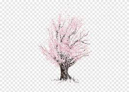 In fact, it's also the. Brown Tree With Pink Leaf Cherry Blossom Drawing Sketch Cherry Tree Pencil Painted Png Pngegg