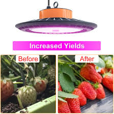 There are a range of different effects grow light spectrum (colours) can have on plant growth. Led Grow Light 1000w Plant Light Full Spectrum Growing Lamps For Indoor Plants Hydroponic Greenhouse China 1000w Plant Light Led Hydroponic Grow Light Made In China Com