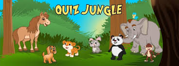 What is the weather like in the jungle? Quiz Jungle Home Facebook