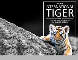 International tiger day is celebrated on 29th of july every year and also known as global tiger day.it is happy international tiger day july 29th. International Tiger Day On Behance