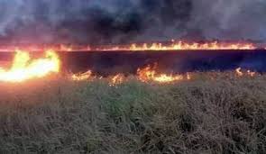 مصادر سوريّة تكشف الرواية الحقيقيّة تزامناً مع بدء شهر رمضان المبارك. Ø­Ø±Ø§Ø¦Ù‚ Ø§Ù„Ø³ÙˆÙŠØ¯Ø§Ø¡ Ù…Ù† ÙŠÙ‚Ù Ø®Ù„ÙÙ‡Ø§ Ù‚Ù†Ø§Ø© Ø§Ù„Ø¹Ø§Ù„Ù… Ø§Ù„Ø§Ø®Ø¨Ø§Ø±ÙŠØ©