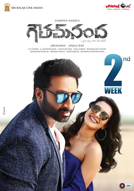 Goutham Nanda (2017)