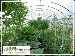 And that might be an understatement. Greenhouse Kits Oregon Greenhouse