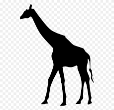 Maybe you would like to learn more about one of these? Giraffe Silhouette Drawing Art Giraffe Clipart Black And White Stunning Free Transparent Png Clipart Images Free Download