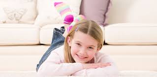 Tork easycube® is a facility management software. Carpet Cleaning Faqs Chem Dry Of Jacksonville
