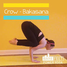 Pin By Bare Feet Power Yoga On Asana Of The Week Crow Pose Chair Pose Asana