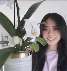 Online Programs Student and Alumni Experiences