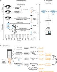 Genomics Based Identification Of Microorganisms In Human