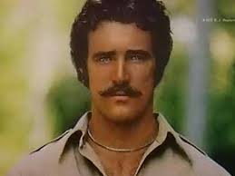 Albert Anton Obituary (2014)